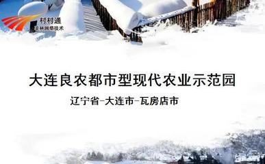 大連良農(nóng)都市型現(xiàn)代農(nóng)業(yè)示范園 網(wǎng)絡科技驅(qū)動現(xiàn)代農(nóng)業(yè)技術(shù)開發(fā)